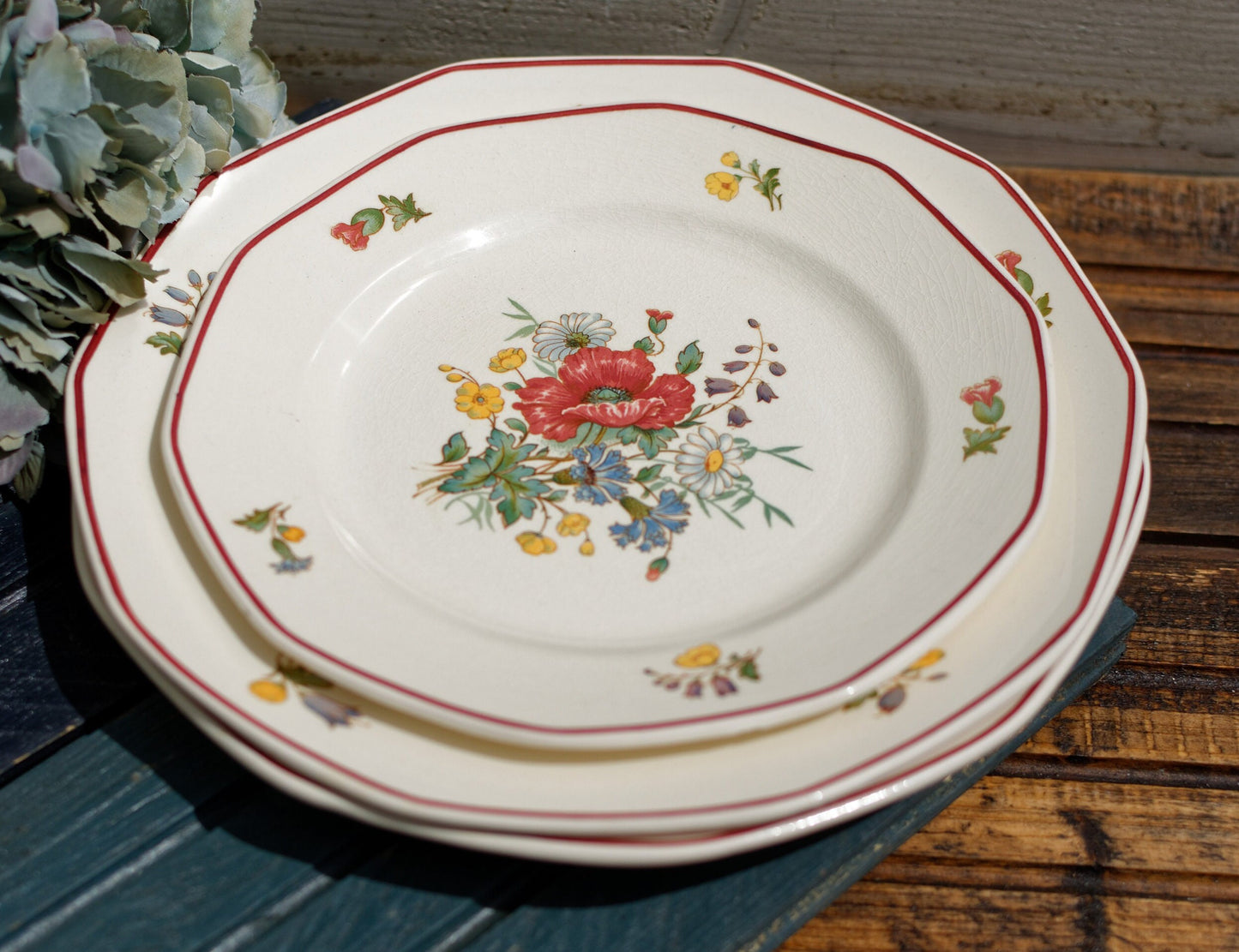 French German Ironstone Dinner Plate OLD ABBEY WARE Fleurs Des Champs V & B.M SAAR Basin 1584 Villeroy & Boch