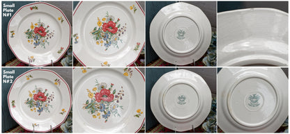 French German Ironstone Dinner Plate OLD ABBEY WARE Fleurs Des Champs V & B.M SAAR Basin 1584 Villeroy & Boch