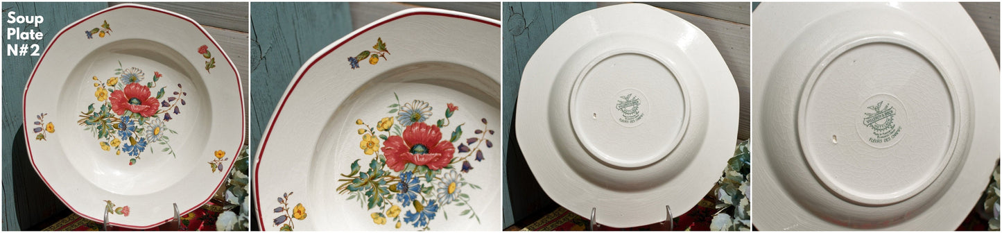 French German Ironstone Soup Plate OLD ABBEY WARE Fleurs Des Champs V & B.M SAAR Basin 1584 Villeroy & Boch