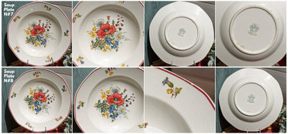 French German Ironstone Soup Plate OLD ABBEY WARE Fleurs Des Champs V & B.M SAAR Basin 1584 Villeroy & Boch