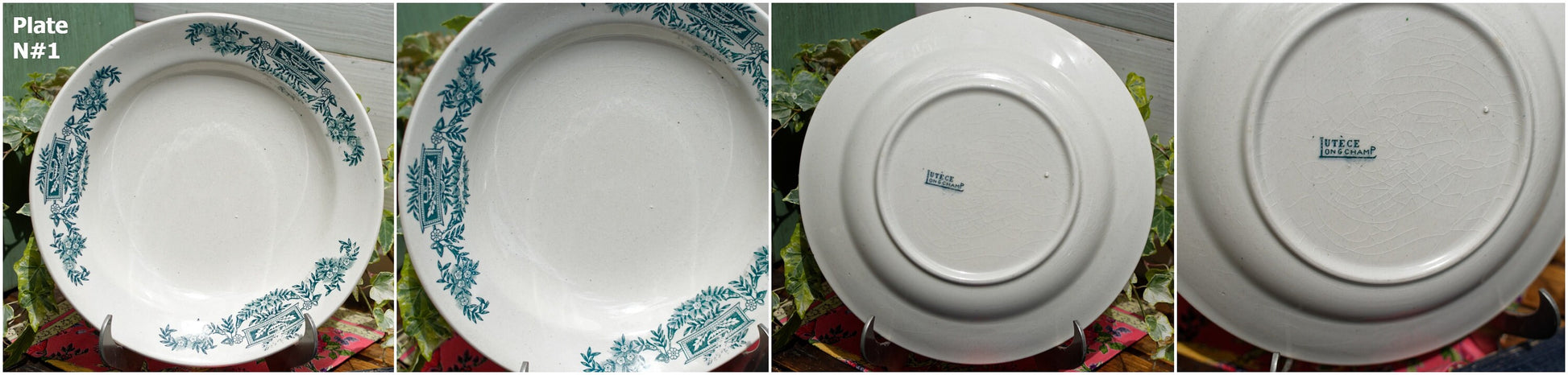 French Ironstone Green Transferware Soup Plate LUTUCE LONGCHAMP Terre de Fer