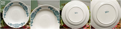 French Ironstone Green Transferware Soup Plate LUTUCE LONGCHAMP Terre de Fer