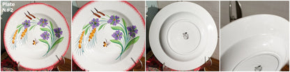 French Ironstone Hand-Painted Floral Soup Plate Earthware (Faïenceries) Opaque de Sarreguemines Terre de Fer