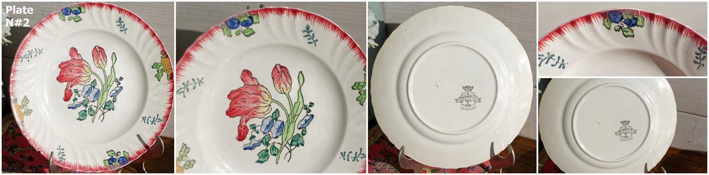 French Ironstone Hand-painted Floral Plate Marseille Longwy France Depose a la main Terre de Fer