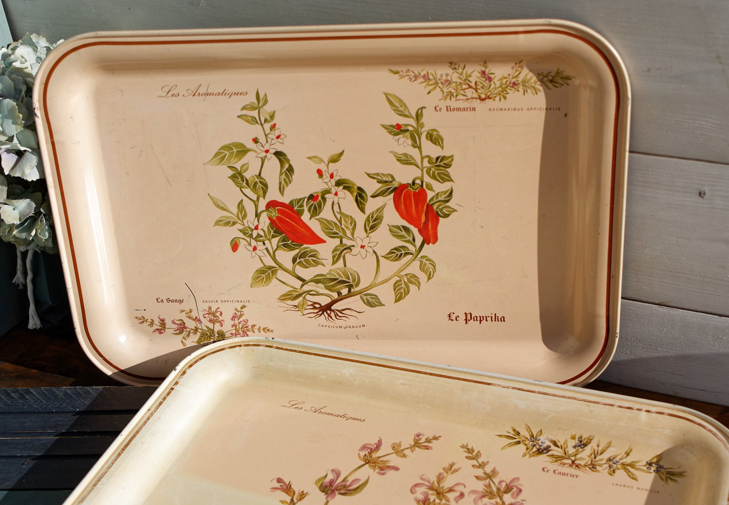 French Vintage Metal Advertising Serving Tray Massilly France Les Aromatiques Paprika Rosemary Sage