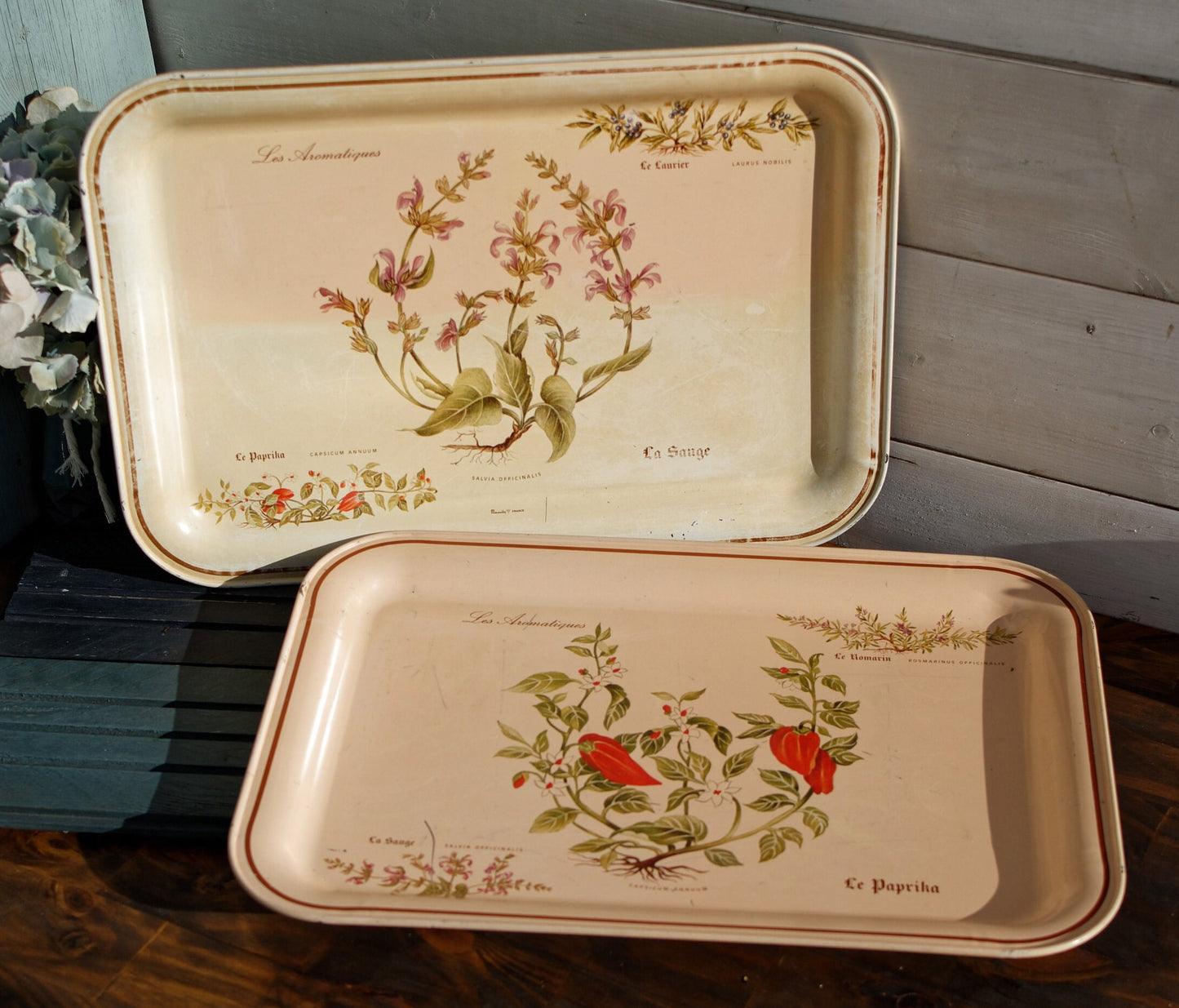 French Vintage Metal Advertising Serving Tray Massilly France Les Aromatiques Paprika Rosemary Sage