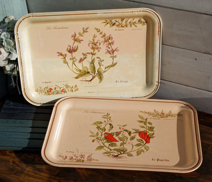 French Vintage Metal Advertising Serving Tray Massilly France Les Aromatiques Paprika Rosemary Sage