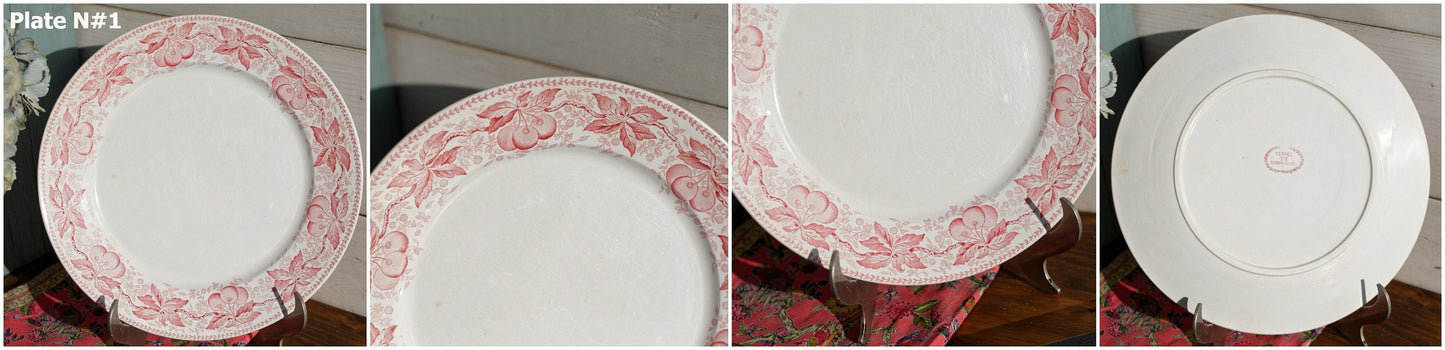 French Ironstone Red Transferware Dinner Plate CERISES Motif FT  (Fenal Theophile) Badonviller France Terre de Fer