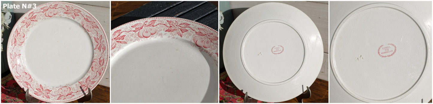 French Ironstone Red Transferware Dinner Plate CERISES Motif FT  (Fenal Theophile) Badonviller France Terre de Fer