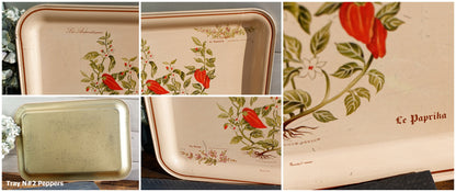 French Vintage Metal Advertising Serving Tray Massilly France Les Aromatiques Paprika Rosemary Sage