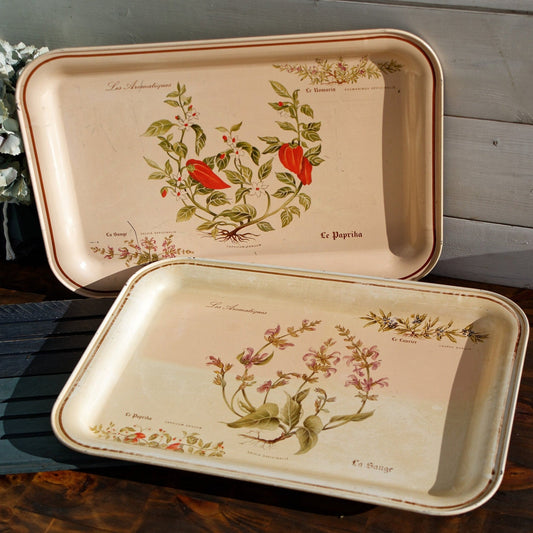 French Vintage Metal Advertising Serving Tray Massilly France Les Aromatiques Paprika Rosemary Sage