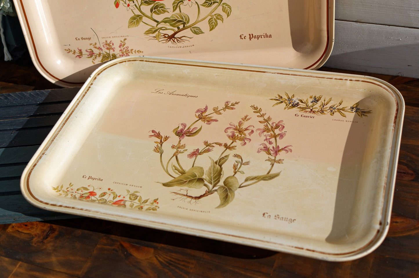 French Vintage Metal Advertising Serving Tray Massilly France Les Aromatiques Paprika Rosemary Sage