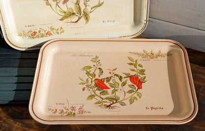 French Vintage Metal Advertising Serving Tray Massilly France Les Aromatiques Paprika Rosemary Sage