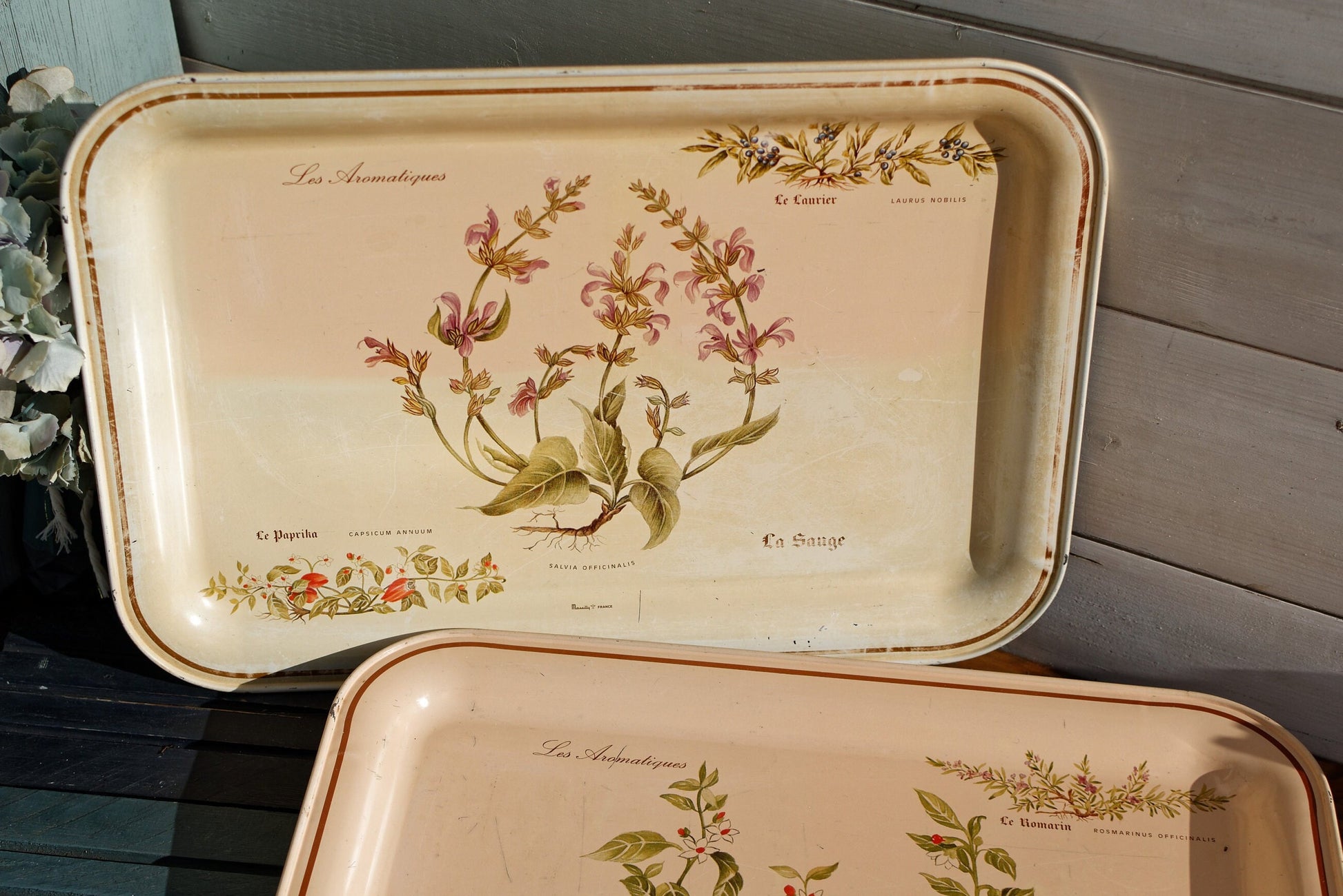 French Vintage Metal Advertising Serving Tray Massilly France Les Aromatiques Paprika Rosemary Sage