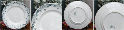 French Ironstone Green Transferware Plate BLERIOT Motif Saint Amand et Hamage NORD Terre de Fer