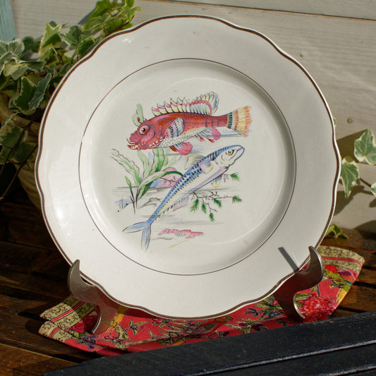 French Ironstone Fish Plate Sarreguemines & Digoin Veritable Opaque France Poisson de Mer Terre de Fer