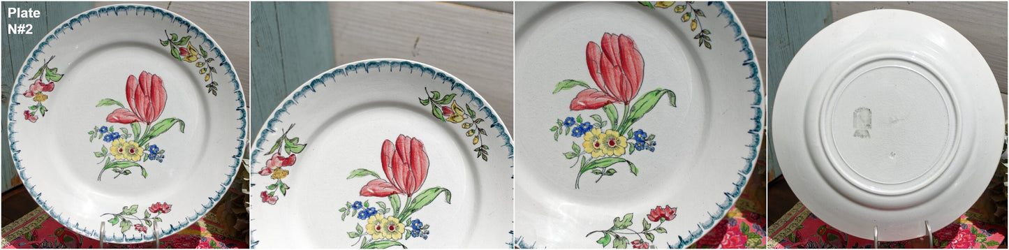 French Hand-Painted Ironstone Plate ST-AMAND Ste des Etablissement de Ceramique Made in France Terre de Fer