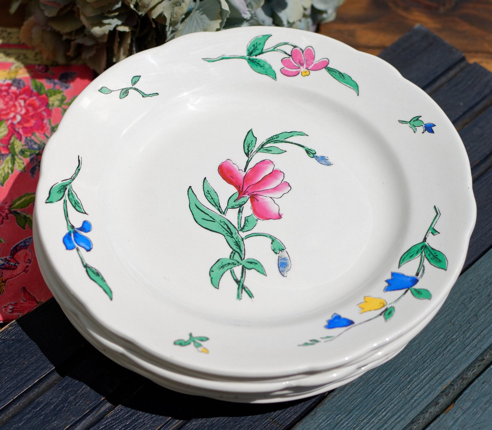 French Hand-Painted Ironstone Plate Sarreguemines France RIQUEWIHR Peint a la main Terre de Fer