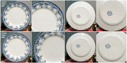 French Ironstone Dinner Plate R&A Villa Terre de Fer SALINS