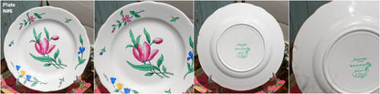 French Hand-Painted Ironstone Plate Sarreguemines France RIQUEWIHR Peint a la main Terre de Fer