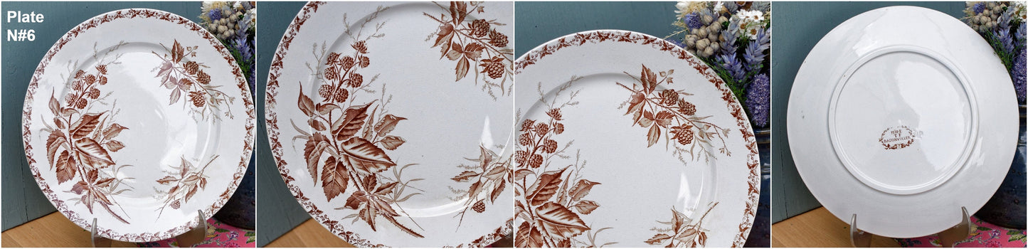 Années 1900 ~ « MURE » FT (Fenal Theophile) Badonviller ~ Français Antique Ironstone Brown Transferware Dinner Plate ~ Terre de fer