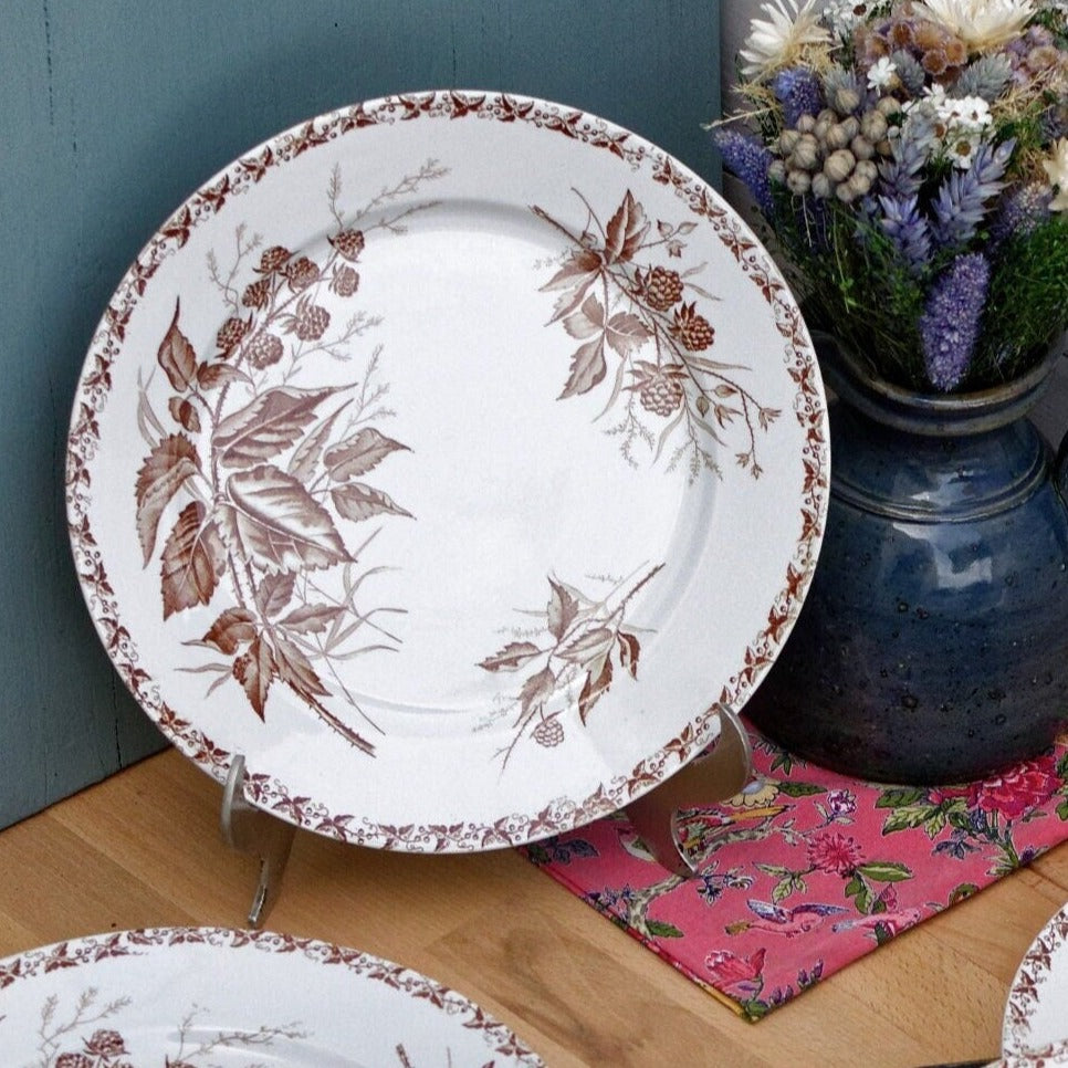 Années 1900 ~ « MURE » FT (Fenal Theophile) Badonviller ~ Français Antique Ironstone Brown Transferware Dinner Plate ~ Terre de fer