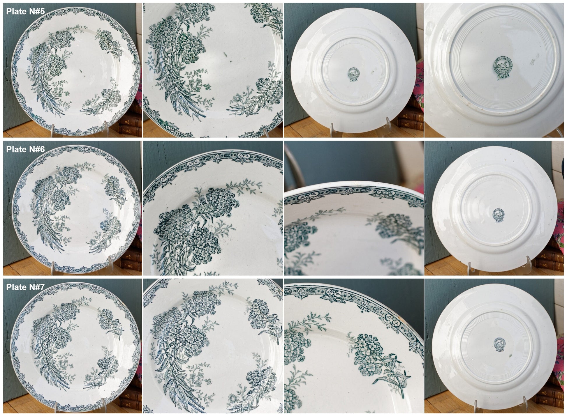 French Ironstone Plate DAISY Nouvelles Usines Ceramiques du Nord St. Amand (NORD) Terre de Fer