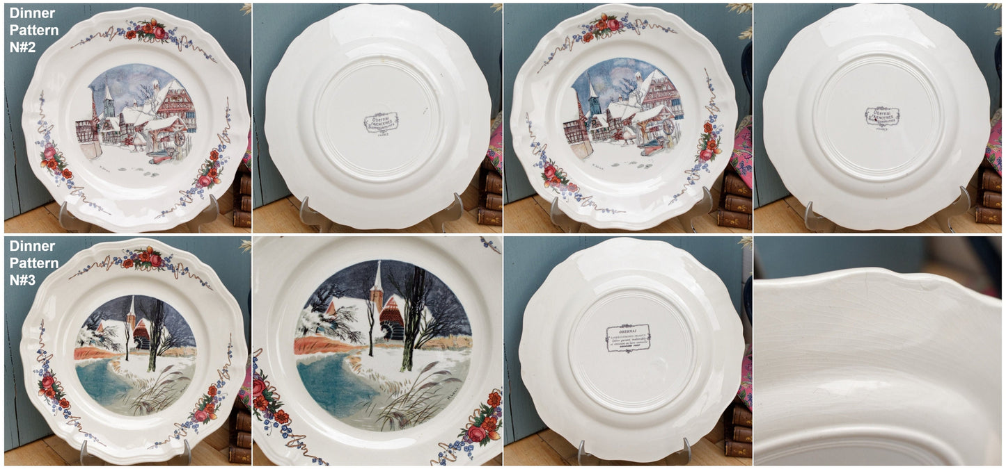 French Ironstone Henri Loux Alsace Scenes Obernai Faienceries Sarreguemines France Terre de Fer