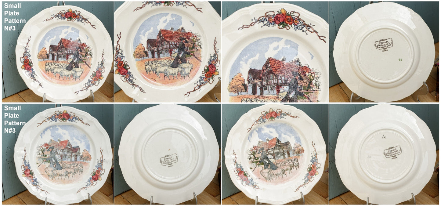 French Ironstone Henri Loux Alsace Scenes Obernai Faienceries Sarreguemines France Terre de Fer