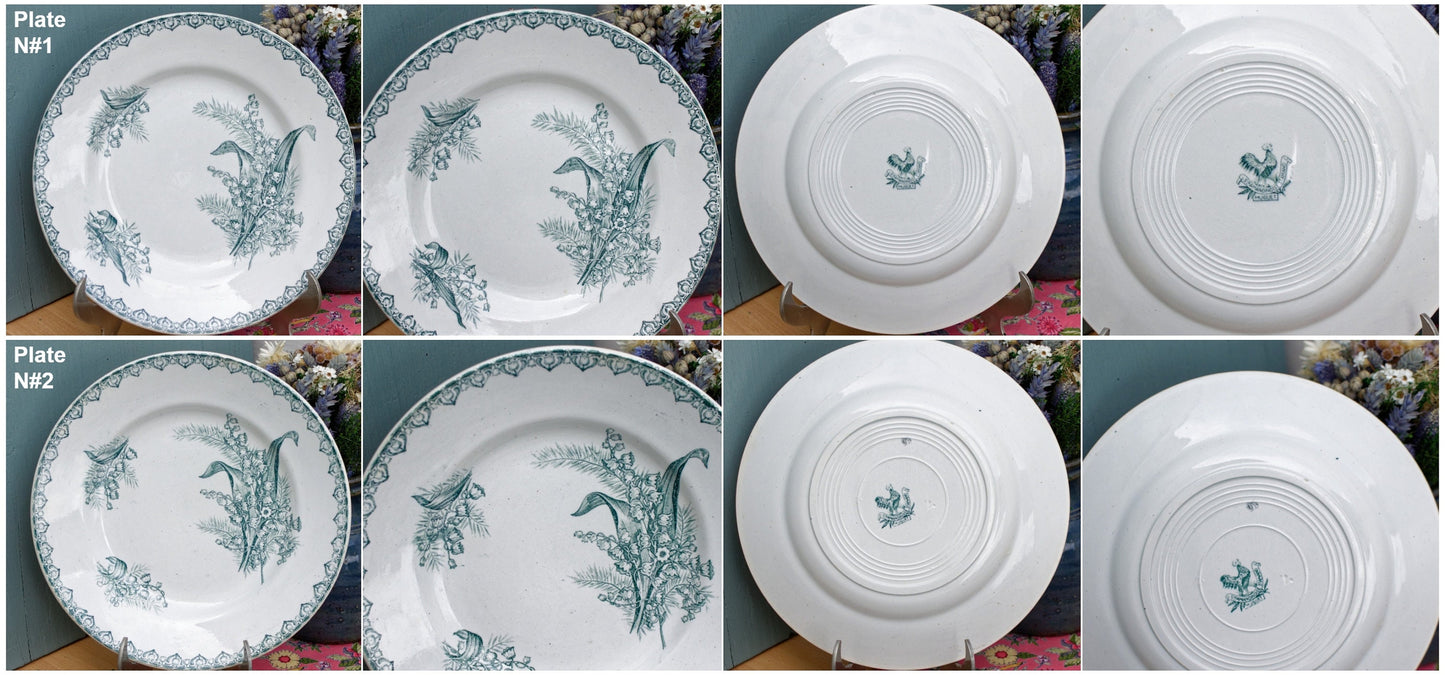 French Ironstone Plate MUGUET Saint Amandinoise St Amand Terre de fer