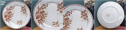 Années 1900 ~ « MURE » FT (Fenal Theophile) Badonviller ~ Français Antique Ironstone Brown Transferware Dinner Plate ~ Terre de fer