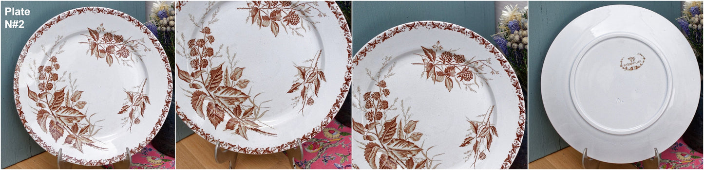 Années 1900 ~ « MURE » FT (Fenal Theophile) Badonviller ~ Français Antique Ironstone Brown Transferware Dinner Plate ~ Terre de fer