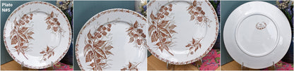 Années 1900 ~ « MURE » FT (Fenal Theophile) Badonviller ~ Français Antique Ironstone Brown Transferware Dinner Plate ~ Terre de fer