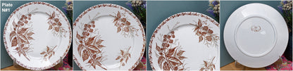 Années 1900 ~ « MURE » FT (Fenal Theophile) Badonviller ~ Français Antique Ironstone Brown Transferware Dinner Plate ~ Terre de fer