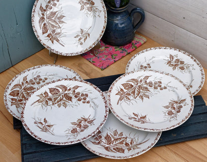 Années 1900 ~ « MURE » FT (Fenal Theophile) Badonviller ~ Français Antique Ironstone Brown Transferware Dinner Plate ~ Terre de fer