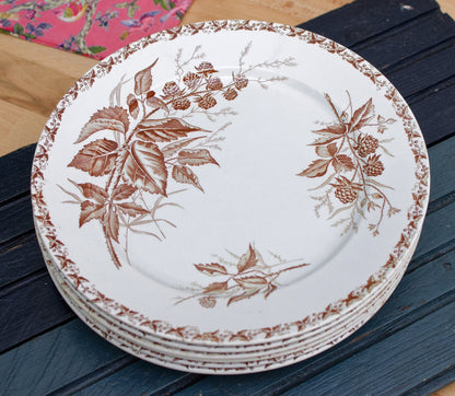 Années 1900 ~ « MURE » FT (Fenal Theophile) Badonviller ~ Français Antique Ironstone Brown Transferware Dinner Plate ~ Terre de fer