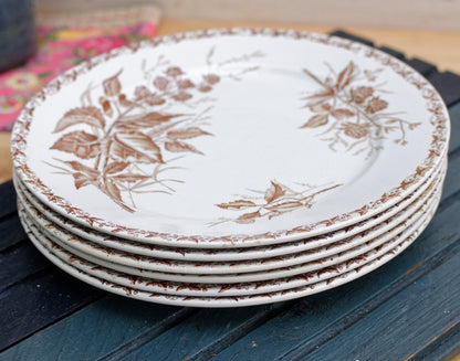 Années 1900 ~ « MURE » FT (Fenal Theophile) Badonviller ~ Français Antique Ironstone Brown Transferware Dinner Plate ~ Terre de fer