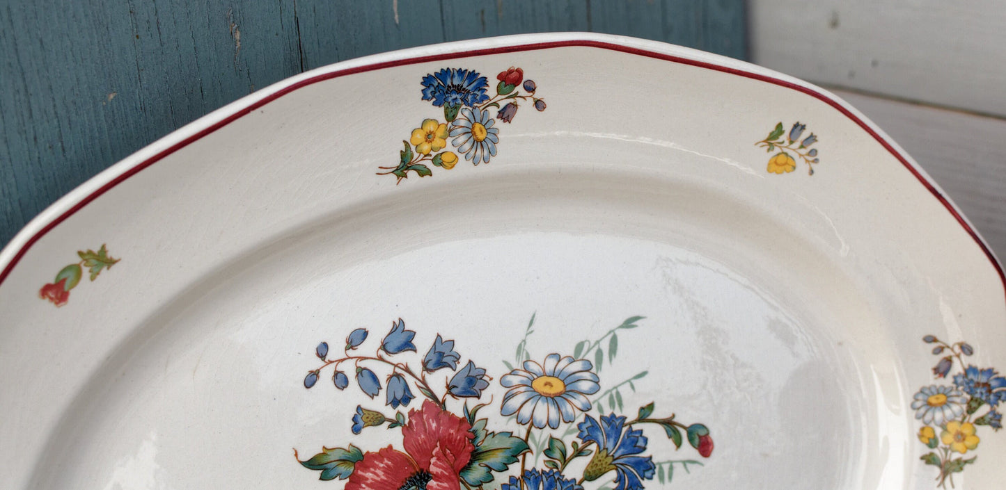 French Ironstone Floral Plate OLD ABBEY WARE Fleurs Des Champs V & B.M SAAR Basin 1584 Villeroy & Boch Terre de Fer